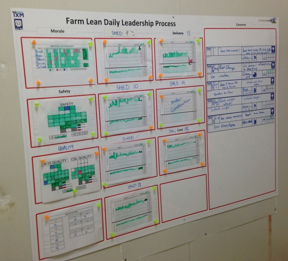 Lean Daily Leadership Process