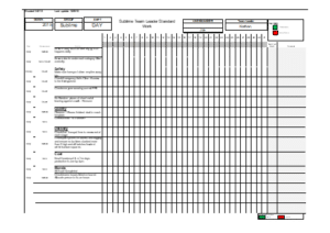 What is Leader Standard Work (LSW) - for all Management Levels