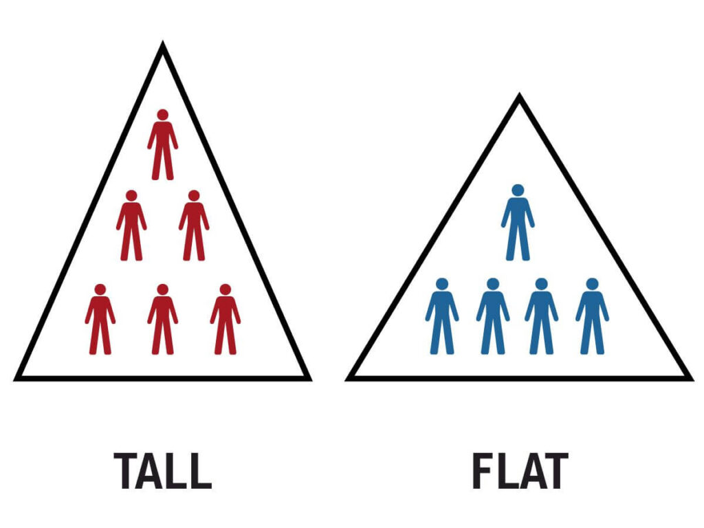Tall vs Flat organisational structure - TXM Lean Solutions